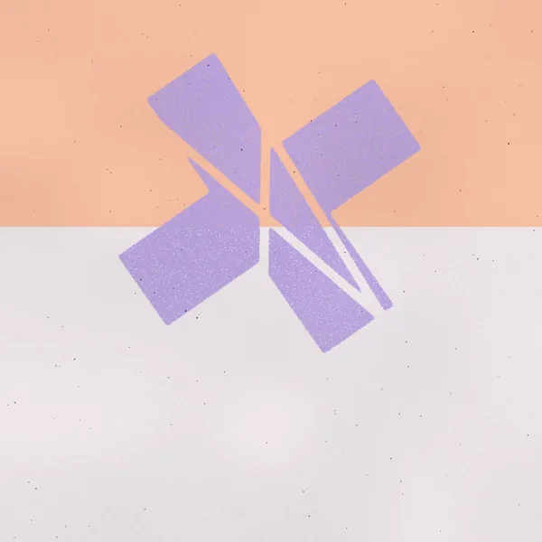 Salvage cover art