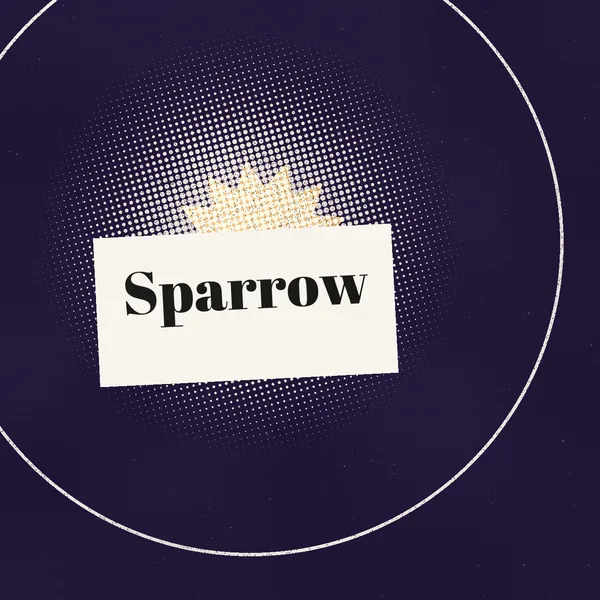 Sparrow cover art