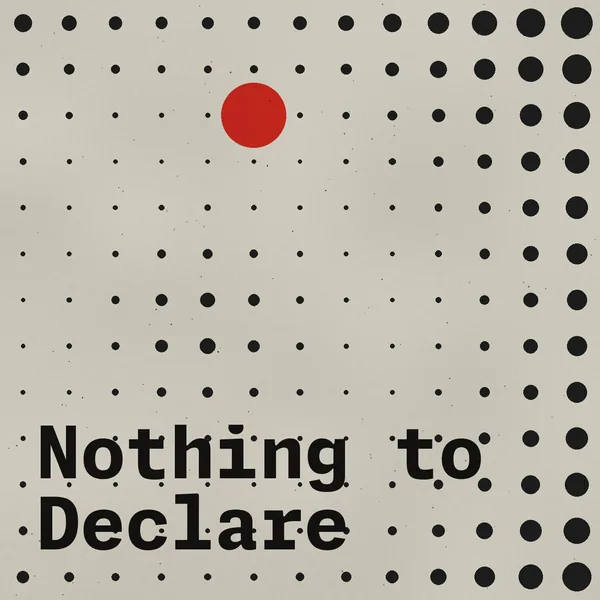Nothing to Declare cover art